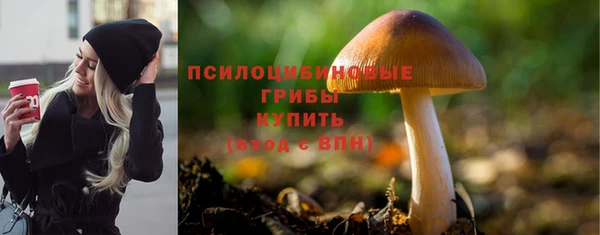 дмт Алзамай