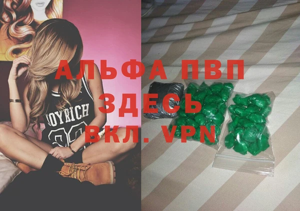 дмт Алзамай