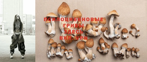 шишки Куйбышев