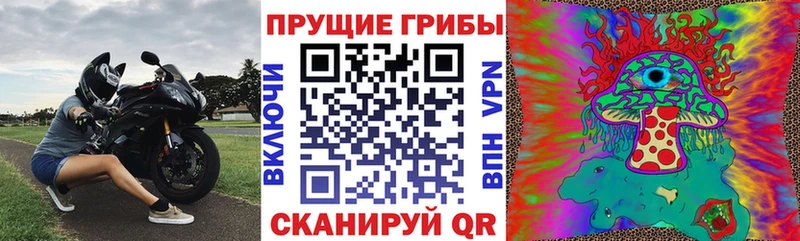 дарнет шоп Дно Псилоцибиновые грибы Magic Shrooms