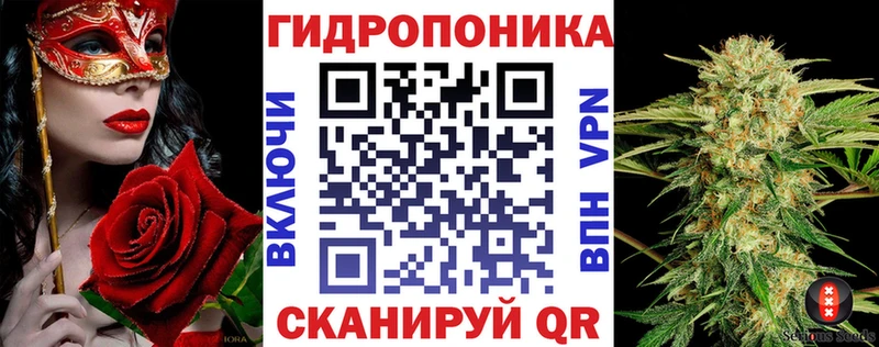 Канабис сатива Дно